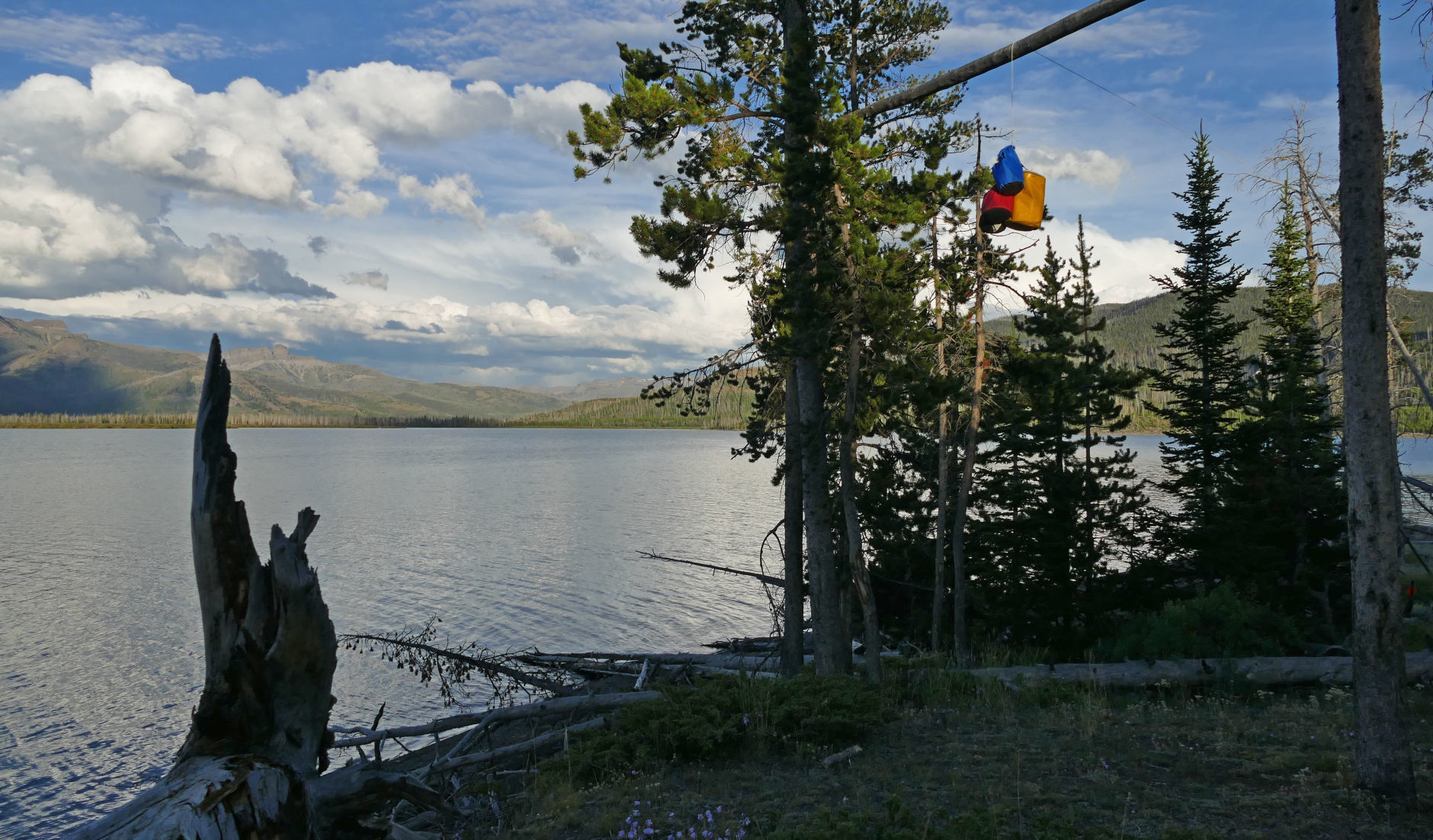 Storing food in bear country